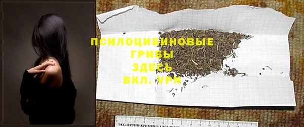 МДПВ Абдулино